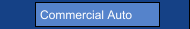 Commercial Auto