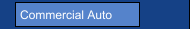 Commercial Auto