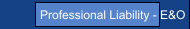 Professional Liability - E&O