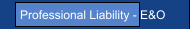 Professional Liability - E&O