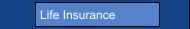 Life Insurance